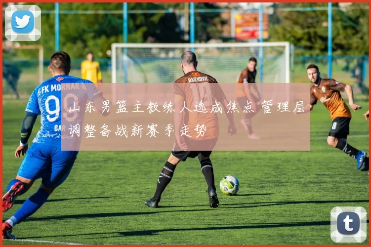 山东男篮主教练人选成焦点 管理层调整备战新赛季走势