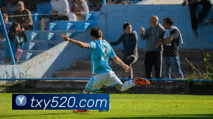 玩滚球的安全平台app官网(中国)有限公司 - 官网平台生态图